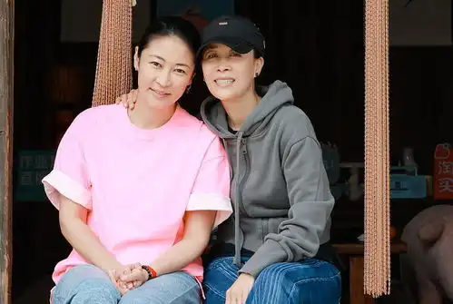 那英,谢谢你让向往的生活找到了口碑逆袭的突破口