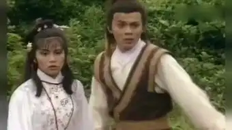 射雕英雄传83东邪西毒
