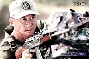 吴京10大经典电影
