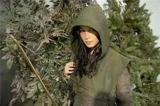 因为战狼2爆红的她,竟是绿箭侠的女友