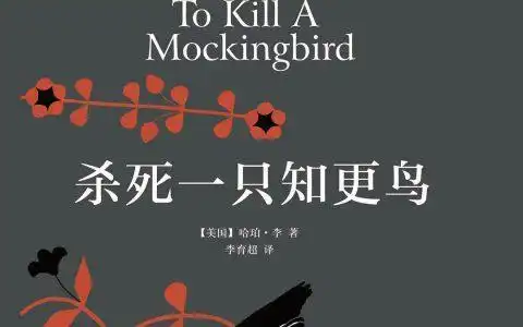 温柔的善良杀死一只知更鸟
