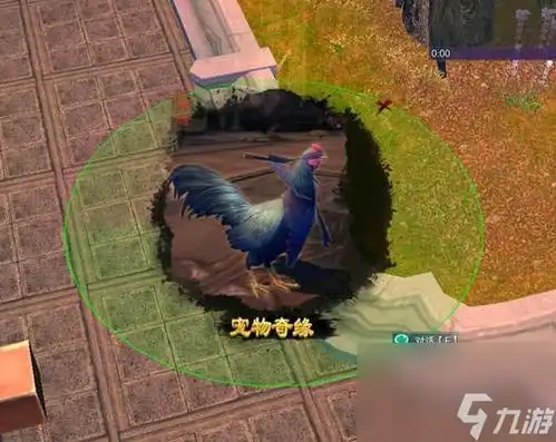 新笑傲江湖仙霞岭奇遇全攻略探秘仙霞岭
