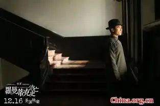 罗曼蒂克消亡史提档12.16发布终极海报