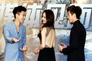 痞子英雄2首映赵又廷不拿票房做结婚赌注
