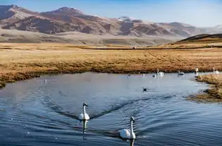 想去飞驰人生壮阔绝美的取景地,飞驰出自己的经历