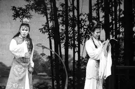 朝版红楼梦或将封存
