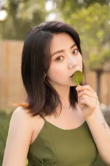 烈火雄心2

