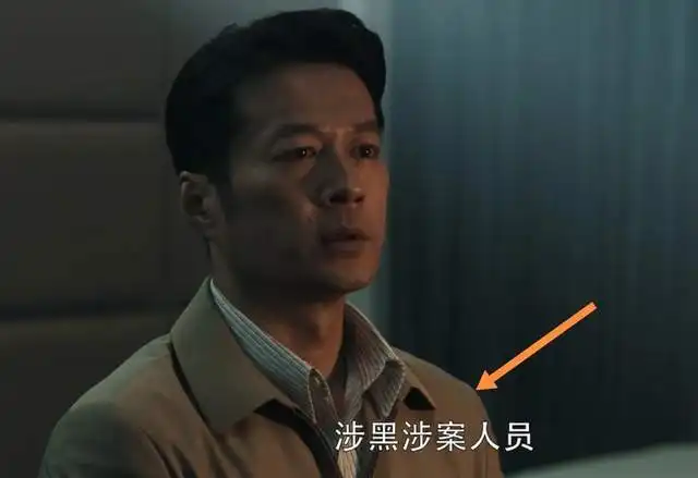 扫黑风暴剧透王政是孙兴生父孙兴妈妈贺芸露出凶狠真面目