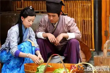 将播董洁与杜淳何晟铭高昊上演三段奇爱