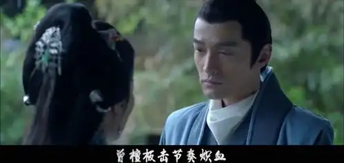 琅琊榜少司命critty人间朝暮王凯胡歌刘涛黄维德