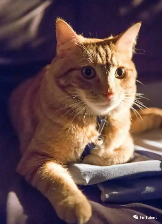 世界再大,陪你一起流浪