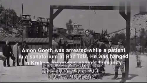 辛德勒的名单下令屠杀犹太人的指挥官,被当场处以绞刑,圆满了