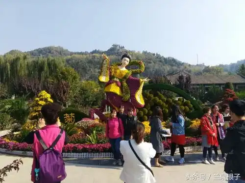 兰州金秋菊花展冲天香阵透兰州满城尽带黄金甲
