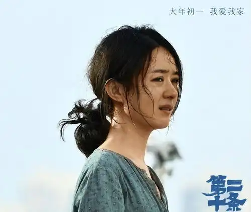 第二十条难复制满江红奇迹,但张艺谋还是努力了
