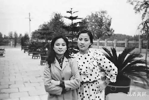 87红楼梦剧组没留住这两位顶级大美女,让人扼腕叹息
