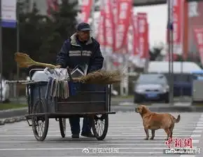 现实版忠犬八公小狗每天帮清扫工主人捡垃圾