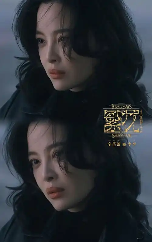 大家好,我是国际巨星辛芷蕾
