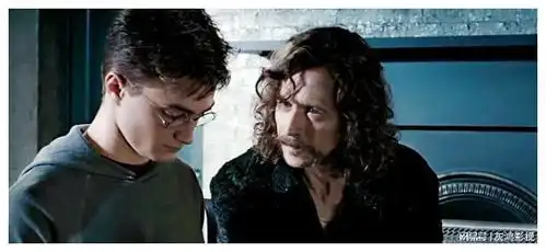 哈利波特作为小天狼星的教子,哈利波特继承了哪些遗产