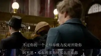 哈利波特番外篇国内上映丨不毁童年的电影,我愿意被圈钱