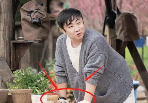 向往5周五剧照,黄磊做饭张艺兴开拖拉机,谁留意到张子枫
