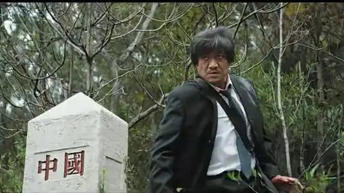 三大队看看王大勇抢劫翡翠原石的操作,难怪潘大海抓不住他