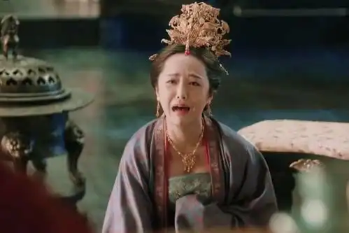 从御侍到大宋皇后,她的人生阴谋阳谋步步为营,结果并不美好