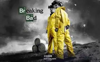 收藏版,breakingbad绝命毒师全5季蓝光珍藏版50.4
