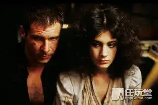 外国人疯了他们居然喜欢赛博朋克的未来世界
