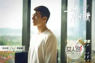 一吻不定情什么时候播剧情介绍一吻不定情是根据哪部小说改编的
