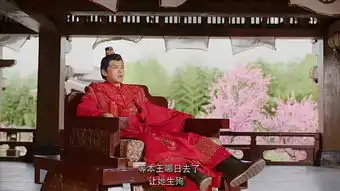 又一部堪比双世宠妃2的穿越剧,比芸汐传还甜
