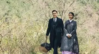 充满野心的韩剧阳光先生,被netflix发现了
