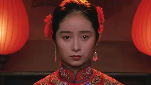 妻妾成群苏童著