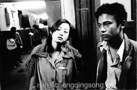 娄烨正式被罚五年内不准拍片
