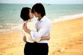 安徽卫视不转播央视春晚上演夏家三千金