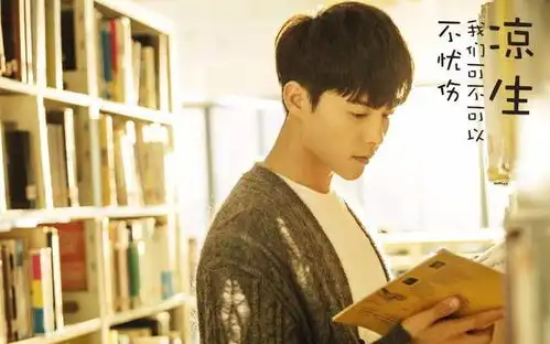 记忆里的凉生便是马天宇的模样