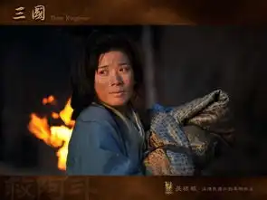 新三国剧照欣赏之长坂坡从携民渡江到单骑救主新浪图片