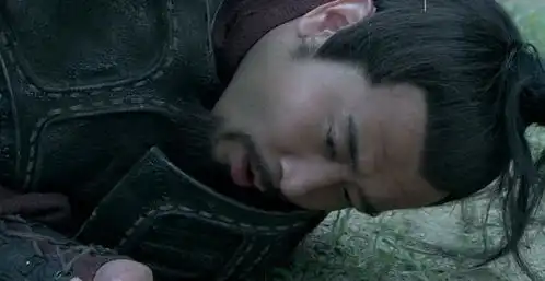 刘备深爱一大将,曾击败过张飞庞统,可为何诸葛亮却将其斩杀
