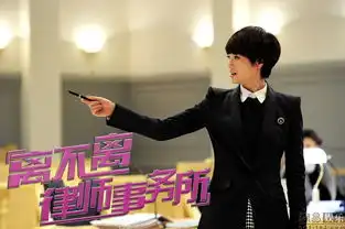 朱丹演起律师很到位1