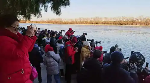 惊艳颐和园十七孔桥,提前呈现金光穿洞奇景
