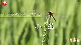 清平乐第04集张本煜cut状元红袍2