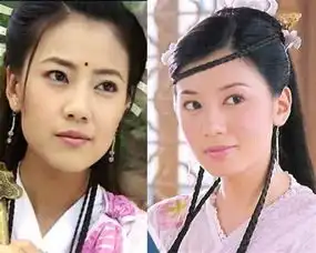 谢娜主持央视我要上春晚首期后被撤这是真的吗
