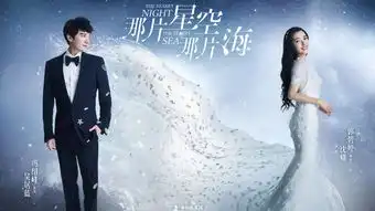 那片星空那片海剧照图片
