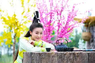 新边城浪子爆剧照贡米本色出演丁灵琳