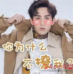 诛仙青云志林惊羽扮演者成毅背景资料表情包萌翻众人
