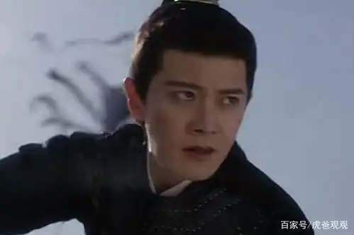 周生如故南辰王身死狱中,十一自除族谱,大婚日城墙坠楼殉情