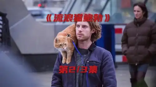 两个被遗弃的生命相遇后,两生命互相温暖彼此流浪猫鲍勃感动电影解说