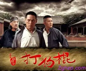 打狗棍入围第27届金鹰奖弘扬民族大义