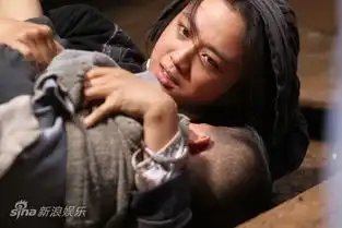 汤唯武侠演绝望主妇向甄子丹取育儿经