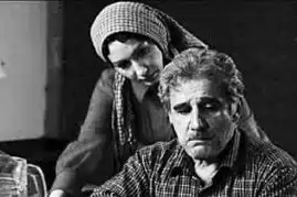 伊朗电影周20日开幕用宗教文化与观众交流
