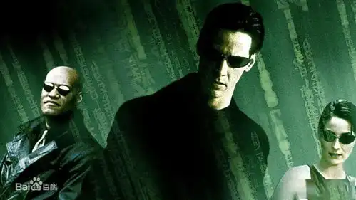 借力信息化,网罗新时代,看看他们都做了啥